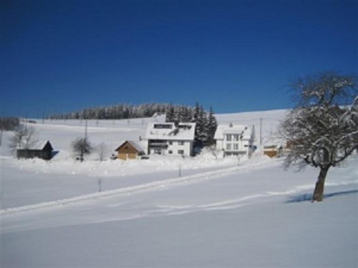 Haus Janssen-Wehrle Apartamento Titisee-Neustadt Exterior foto