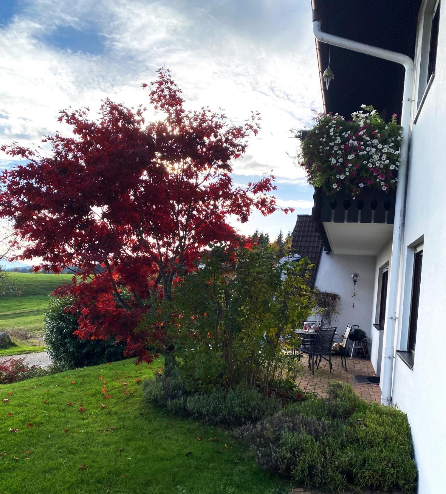 Haus Janssen-Wehrle Apartamento Titisee-Neustadt Exterior foto
